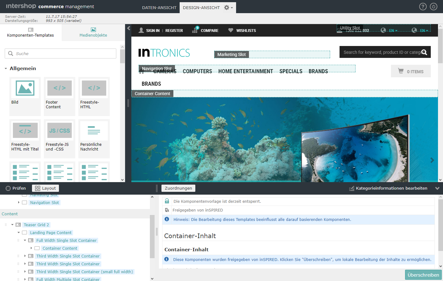 Layout Mode of the Design View