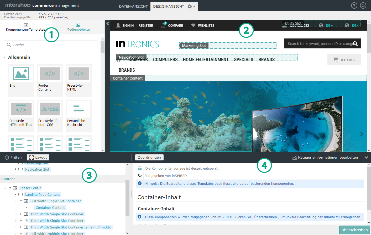 Layout Mode of the Design View