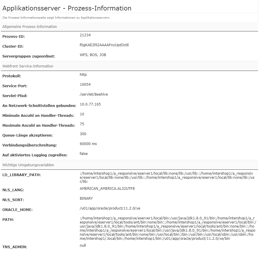 Prozessinformationen zu einem Applikationsserver